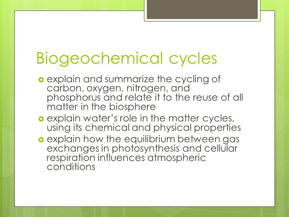Write a detailed essay on biogeochemical cycles
